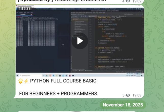 13.01.2026_20.55.47_REC